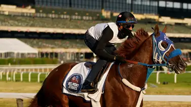 Antonio Sano participará este viernes en este Stakes en Churchill Downs Antonio Sano participará este viernes en este Stakes en Churchill Downs