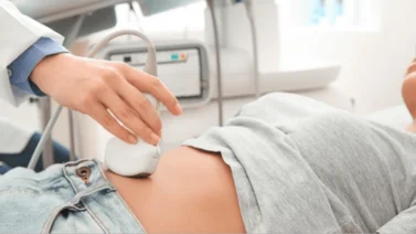  Conoce los beneficios de la inseminación artificial