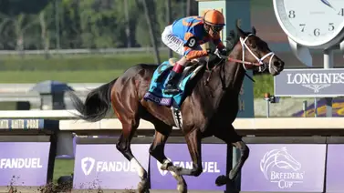 No vas a creer la reacción que tuvo el dueño de Fierceness después de perder el Derby No vas a creer la reacción que tuvo el dueño de Fierceness después de perder el Derby
