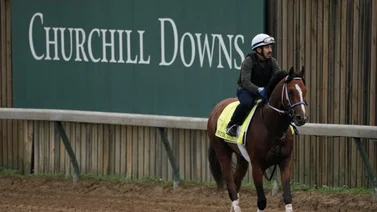¿Correrá Mystik Dan el Preakness Stakes ? esto dice su entrenador