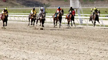 INH suspende aprendiz en la reunión 17 por este motivo en La Rinconada INH suspende aprendiz en la reunión 17 por este motivo en La Rinconada