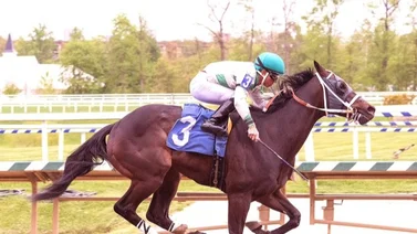 Jockey aprendiz venezolano gana su primer meeting en Estados Unidos