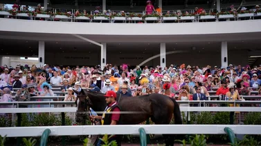 Más de $446 Millones el récord impresionante de jugada en el Kentucky Derby 2024