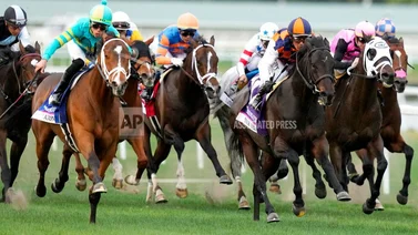 Entrenador y jockeys venezolanos este sábado en Gulfstream Park por cupo para Inglaterra