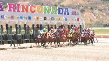 Clásico Asamblea Nacional (GII) engalana la reunión 18 en La Rinconada Clásico Asamblea Nacional (GII) engalana la reunión 18 en La Rinconada