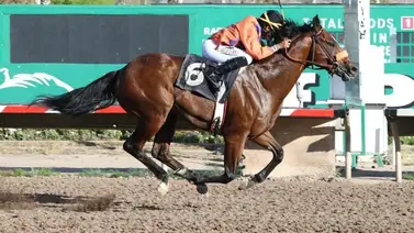Jockey venezolano se titula campeón en este hipódromo de Estados Unidos Jockey venezolano se titula campeón en este hipódromo de Estados Unidos