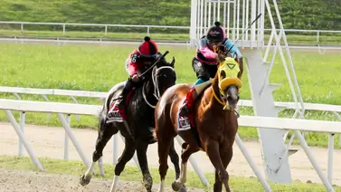 Reaparece doble coronado este domingo en La Rinconada con nuevo entrenador Reaparece doble coronado este domingo en La Rinconada con nuevo entrenador