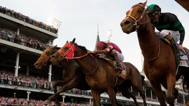 Lo que produjo Mystik Dan por su victoria en el Kentucky Derby (G1) de 2024 Lo que produjo Mystik Dan por su victoria en el Kentucky Derby (G1) de 2024