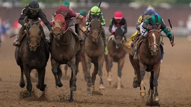 Más de $3.000.000 costaron los dos grandes enemigos de Mystik Dan en el Preakness Stakes (G1)