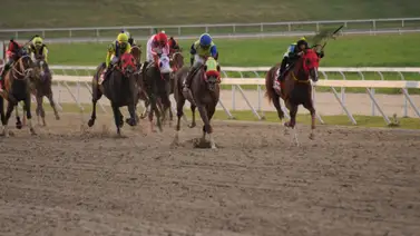 Retorna a la pista hija de Panzer Bercelona la cual tiene 105 sin correr en La Rinconada Retorna a la pista hija de Panzer Bercelona la cual tiene 105 sin correr en La Rinconada