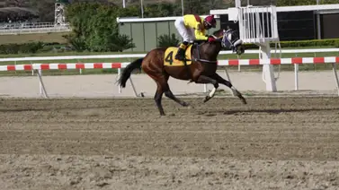 Juan Carlos García debuta hija de ganador clásico en La Rinconada Juan Carlos García debuta hija de ganador clásico en La Rinconada