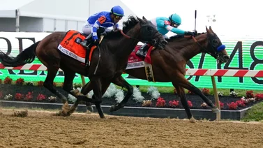 Aquí están los nuevos 9 probables participantes al Preakness Stakes (G1) de 2024