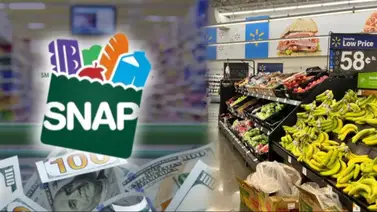 ¿Qué pasa si los beneficiarios del SNAP se mudan de estado? Aquí te lo contamos ¿Qué pasa si los beneficiarios del SNAP se mudan de estado? Aquí te lo contamos