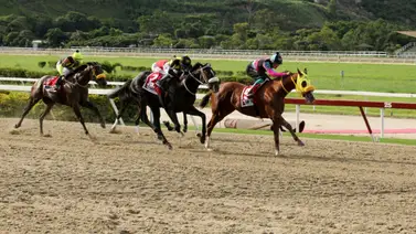 Esto dice Ramón García Mosquera de Time Traveler y Arcano de sus carreras del domingo Esto dice Ramón García Mosquera de Time Traveler y Arcano de sus carreras del domingo