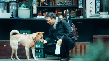 "Hachiko 2": la película que te hará abrazar a tu mascota 