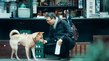 "Hachiko 2": la película que te hará abrazar a tu mascota "Hachiko 2": la película que te hará abrazar a tu mascota