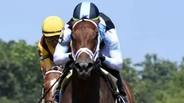 Esta campeona y Eclipse Award es retirada a la cría en Estados Unidos Esta campeona y Eclipse Award es retirada a la cría en Estados Unidos