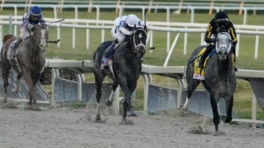 Aquí el Best Bet y los Tips para Gulfstream Park 09-05-2024
