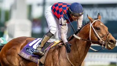 Jockey de Puerto Rico campeón con amplia ventaja en este hipódromo de Estados Unidos Jockey de Puerto Rico campeón con amplia ventaja en este hipódromo de Estados Unidos