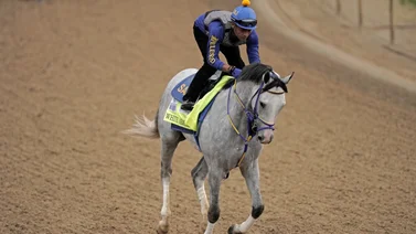 Mira como trabajó este jueves White Abarrio para reaparecer el día del Belmont Stakes