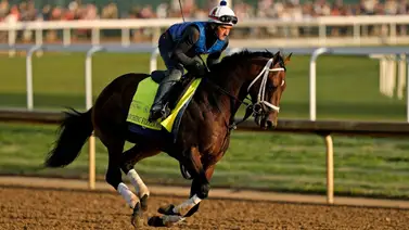 Ejemplar que llegó entre los primeros en el Kentucky Derby va al Preakness Stakes Ejemplar que llegó entre los primeros en el Kentucky Derby va al Preakness Stakes
