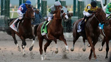 Aquí esta el Best Bet y los Tips para Gulfstream Park 10-05-2024