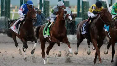 Aquí esta el Best Bet y los Tips para Gulfstream Park 10-05-2024 Aquí esta el Best Bet y los Tips para Gulfstream Park 10-05-2024