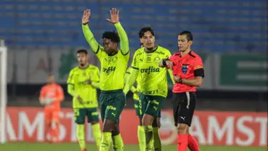 Copa Libertadores: Endrick marcó con Palmeiras y su festejo disgustó al rival Copa Libertadores: Endrick marcó con Palmeiras y su festejo disgustó al rival