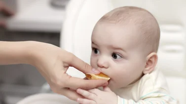 Nutrición paso a paso: así puedes alimentar a tu bebé