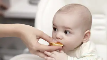 Nutrición paso a paso: así puedes alimentar a tu bebé Nutrición paso a paso: así puedes alimentar a tu bebé