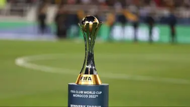 Piden a la FIFA que reprograme el Mundial de clubes Piden a la FIFA que reprograme el Mundial de clubes