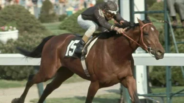 ¿Sabe Ud.porqué Cañonero no fue el batacazo más grande en la historia del Kentucky Derby? Se lo contamos