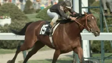 ¿Sabe Ud.porqué Cañonero no fue el batacazo más grande en la historia del Kentucky Derby? Se lo contamos ¿Sabe Ud.porqué Cañonero no fue el batacazo más grande en la historia del Kentucky Derby? Se lo contamos