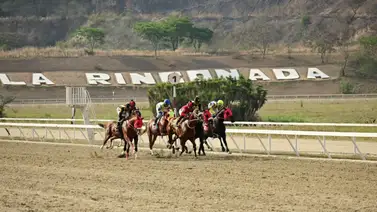 Esta yegua ajusta "clavo" y puede ser la sorpresa del 5y6 en La Rinconada Esta yegua ajusta "clavo" y puede ser la sorpresa del 5y6 en La Rinconada