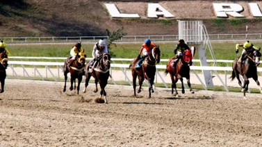 Favoritos de la Cátedra para el 5 y 6 Nacional de la Reunión N°18 en el Hipódromo La Rinconada