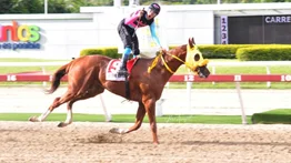Datos de Ültima Hora para el Hipódromo La Rinconada 12-05-2024