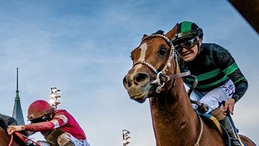 Confirmado al Preakness el único potro que puede triplecoronarse este año