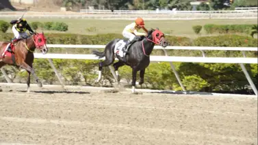 Segundo Clásico del domingo 12 de mayo en la Rinconada Segundo Clásico del domingo 12 de mayo en la Rinconada