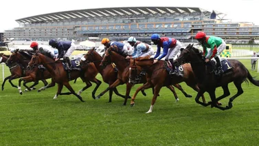 Jaramillo ganó este sábado con la potranca Bullet y clasifica a Ascot en Inglaterra