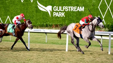 Yunta venezolana clasifica a Ascot Inglaterra con potro de $9.000 criado en Florida