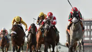 Entrenador venezolano gana stakes del sábado en dos hipódromos de Estados Unidos Entrenador venezolano gana stakes del sábado en dos hipódromos de Estados Unidos