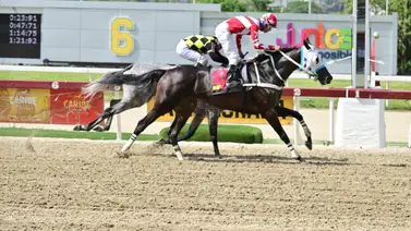 Entrenador en La Rinconada logra este hecho por primera vez en un meeting Entrenador en La Rinconada logra este hecho por primera vez en un meeting
