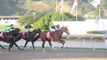 Potra ganadora selectiva en La Rinconada pasará un tiempo en el Haras por una lesión Potra ganadora selectiva en La Rinconada pasará un tiempo en el Haras por una lesión