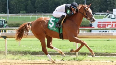 Ocho potras van por el Black Eyed Susan S. en Pimlico este viernes