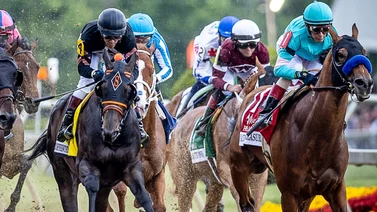 Conoce el día y la hora y por donde ver el sorteo de puestos de partida en el Preakness S.(G1)