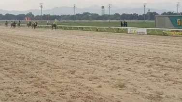 Suspendido jinete por falta de peso en el repeso al finalizar la carrera