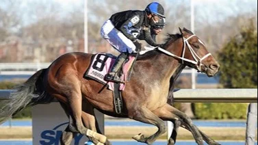 Jockey venezolano montará en el Black Susan Stakes  (G2) este viernes