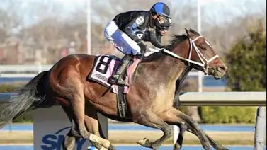 Jockey venezolano montará en el Black Susan Stakes (G2) este viernes Jockey venezolano montará en el Black Susan Stakes (G2) este viernes