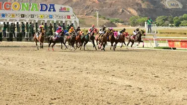 Clásico Gustavo Ávila (GI) lo competirán cinco yeguas en La Rinconada Clásico Gustavo Ávila (GI) lo competirán cinco yeguas en La Rinconada
