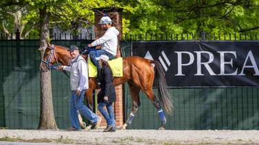 Aquí la nómina definitiva y los puestos de partida del Preakness Stakes (G1)